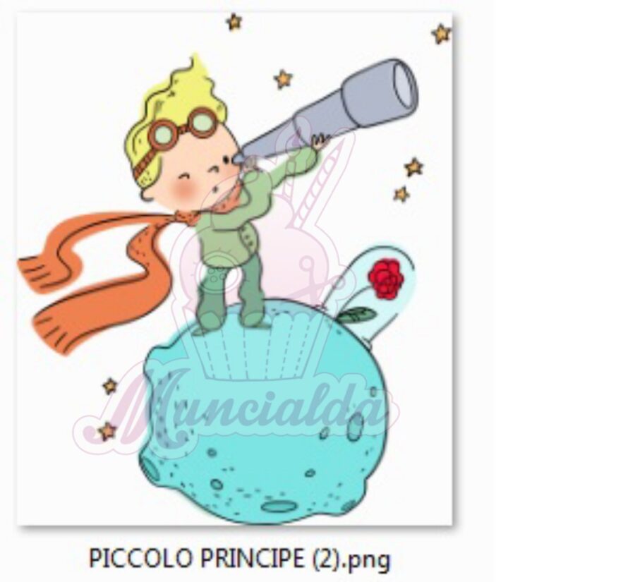 Segnalibro Piccolo Principe